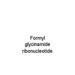 Formyl glycinamide ribonucleotide